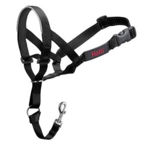 HaltI Nylon Dog HeadCollar Black size 5