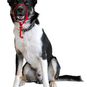 HaltI Nylon Dog HeadCollar Black size 3